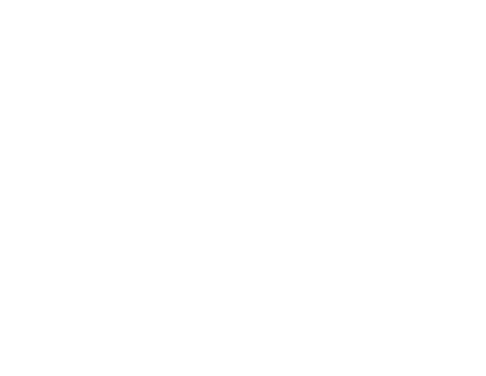 SSi Micro Logo
